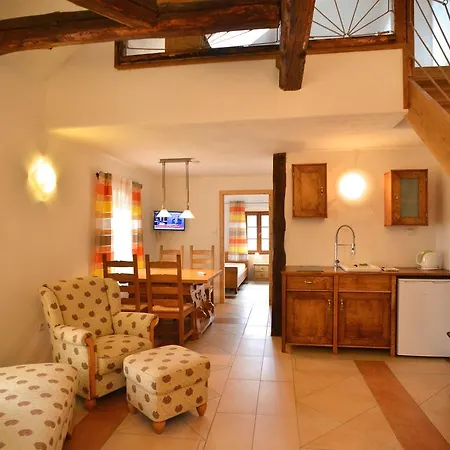 Pension Biofarma Slunecna Zelnava Room photo